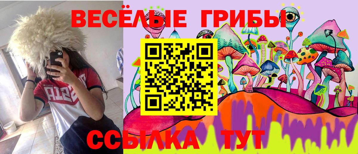 Псилоцибиновые грибы MAGIC MUSHROOMS Кудрово