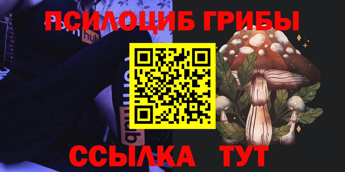 Кудрово  Псилоцибиновые грибы мухоморы  Вход с VPN 